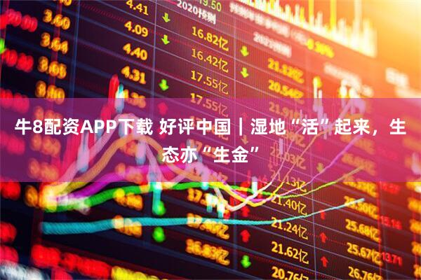 牛8配资APP下载 好评中国｜湿地“活”起来，生态亦“生金”